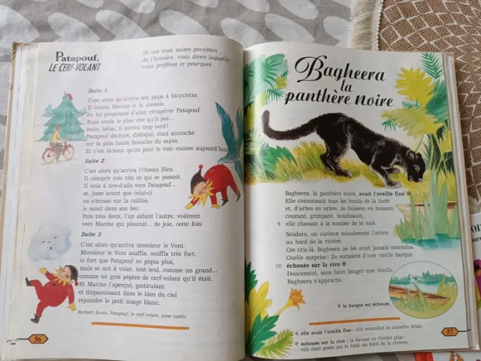 Lot de livres apprentissage lecture cp CE1 - photo numéro 12