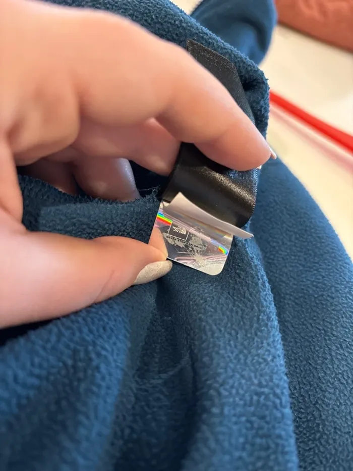 polaire the north face