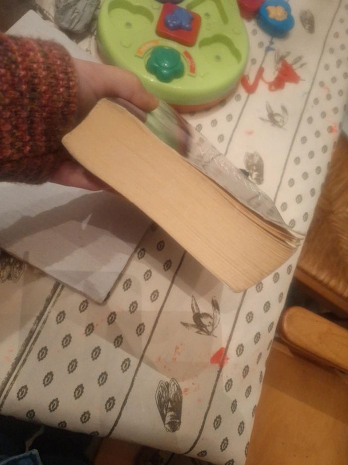 Le journal d'un vampire tome 2 - photo numéro 3