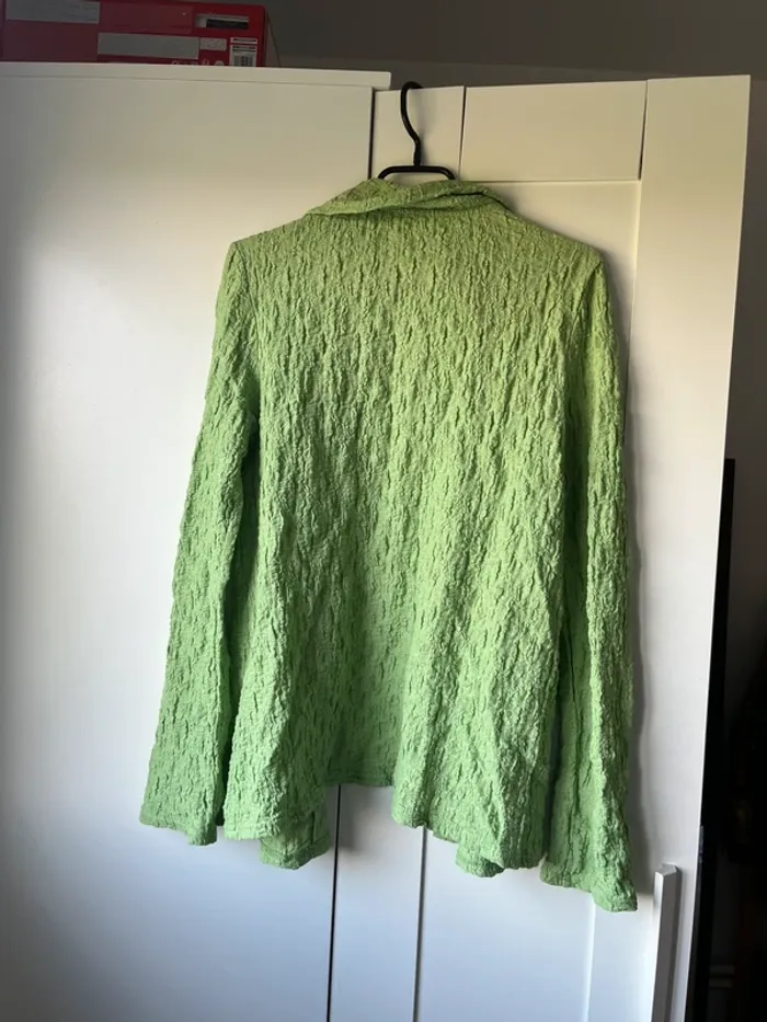 Chemise verte - photo numéro 2