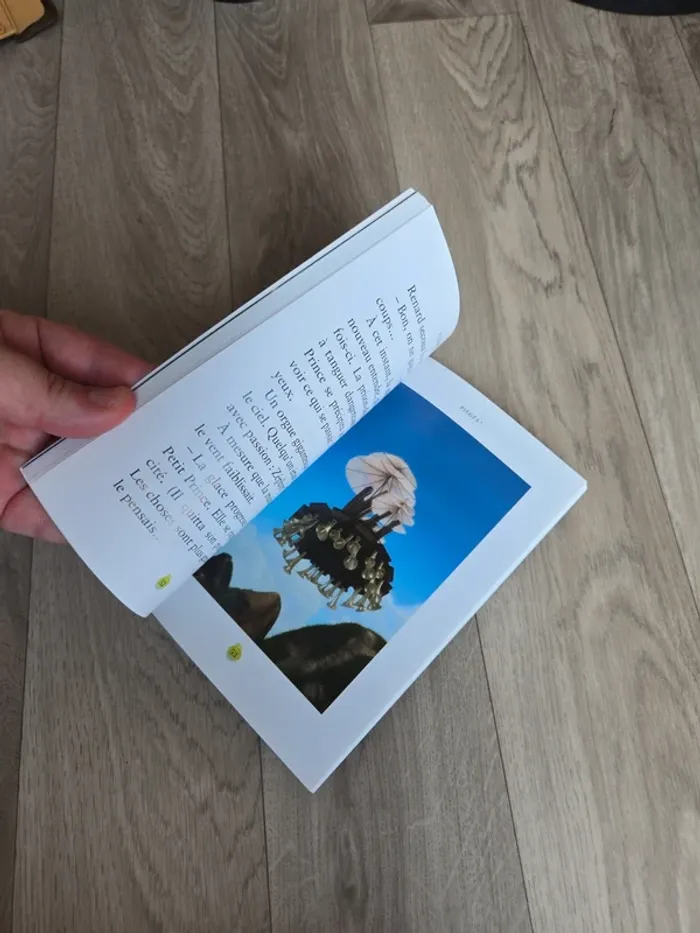 Le petit prince - photo numéro 2