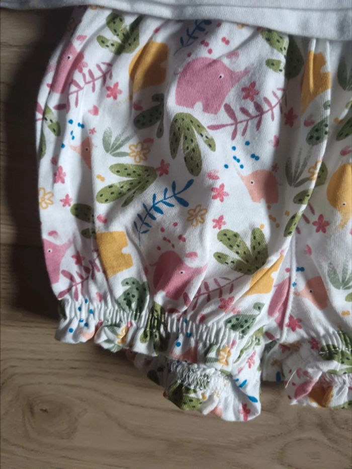 Ensemble short tee shirt été elephants coloré 12 mois - photo numéro 2