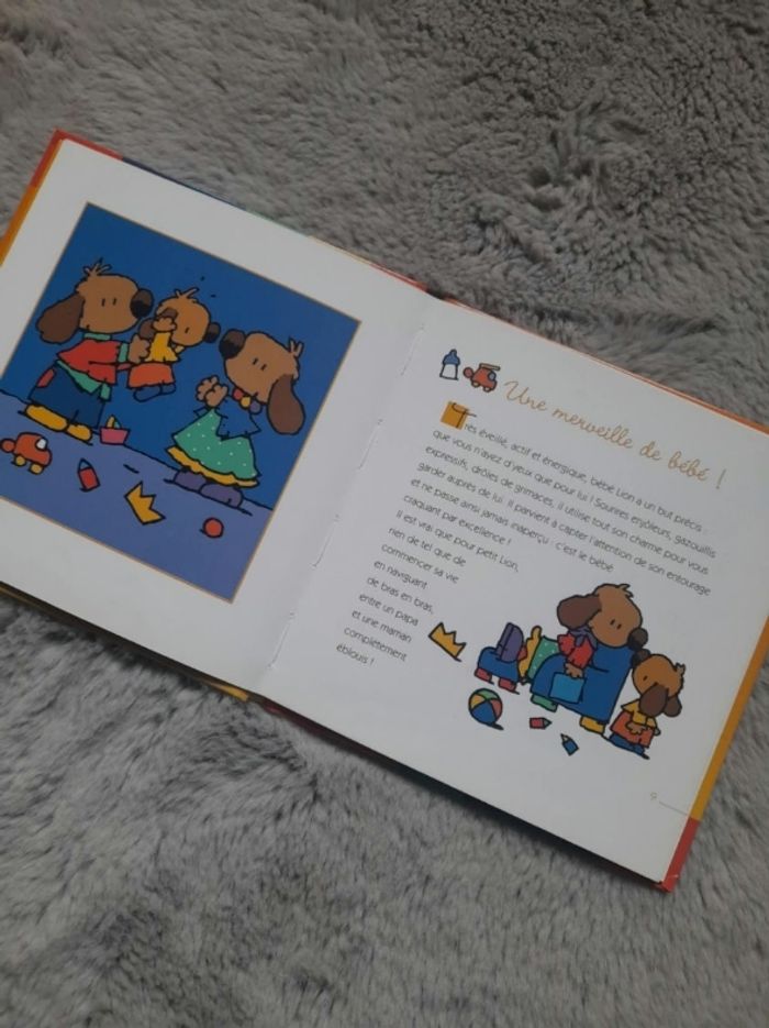 Livre enfants signe lion - photo numéro 3