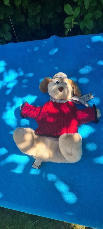 Chien peluche sac a dos avec un pull rouge et casquette