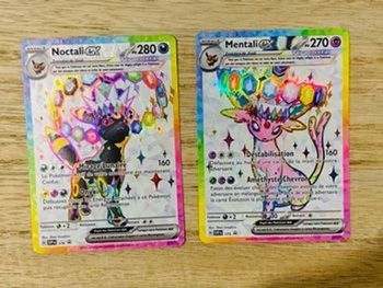 Lot Noctali 176 et mentali 175