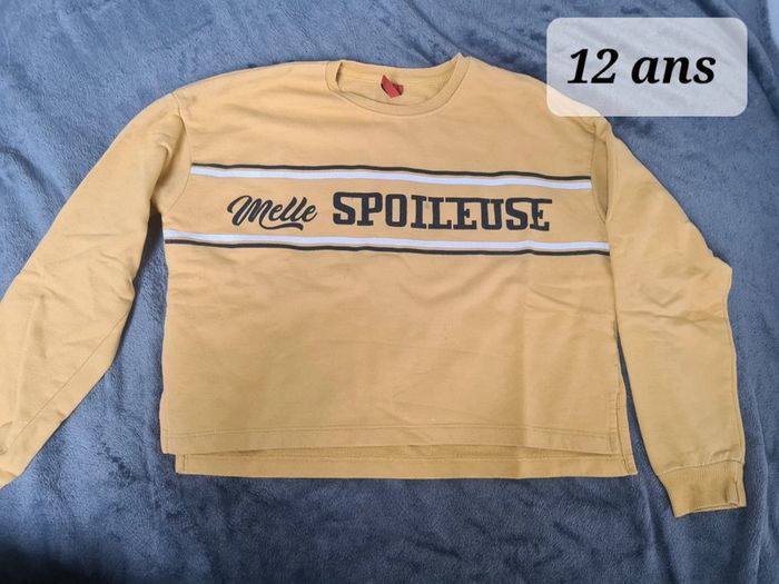 Pull Mlle Spoileuse