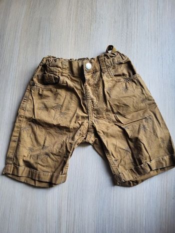 Short palmier