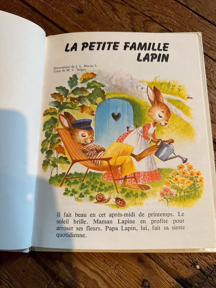 Livre ancien vintage Hemma La petite famille lapin collection petite famille cartonné - photo numéro 4
