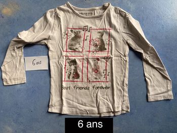 Tee shirt manches longues 6ans lapin et chat