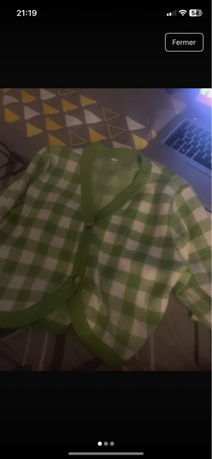 Gilet vert - photo numéro 3