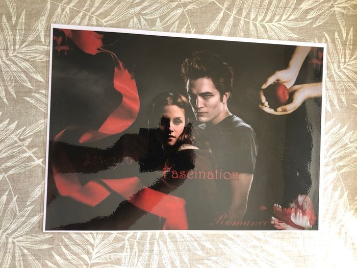 Affiches twilight - photo numéro 3