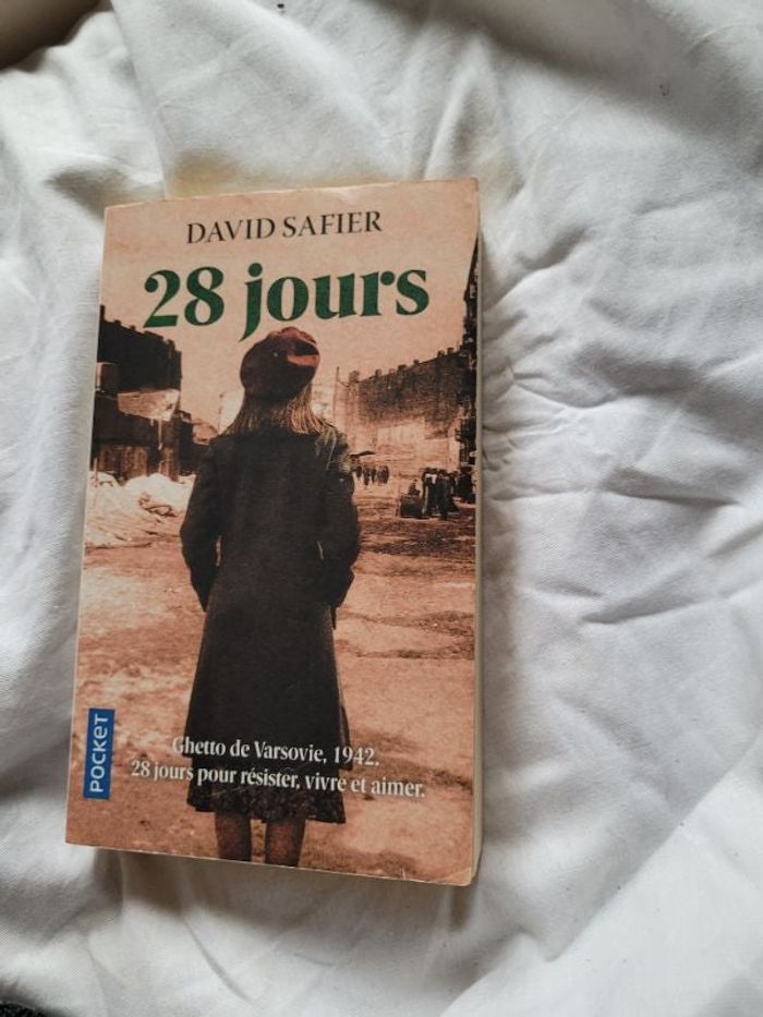 28 jours David Safier