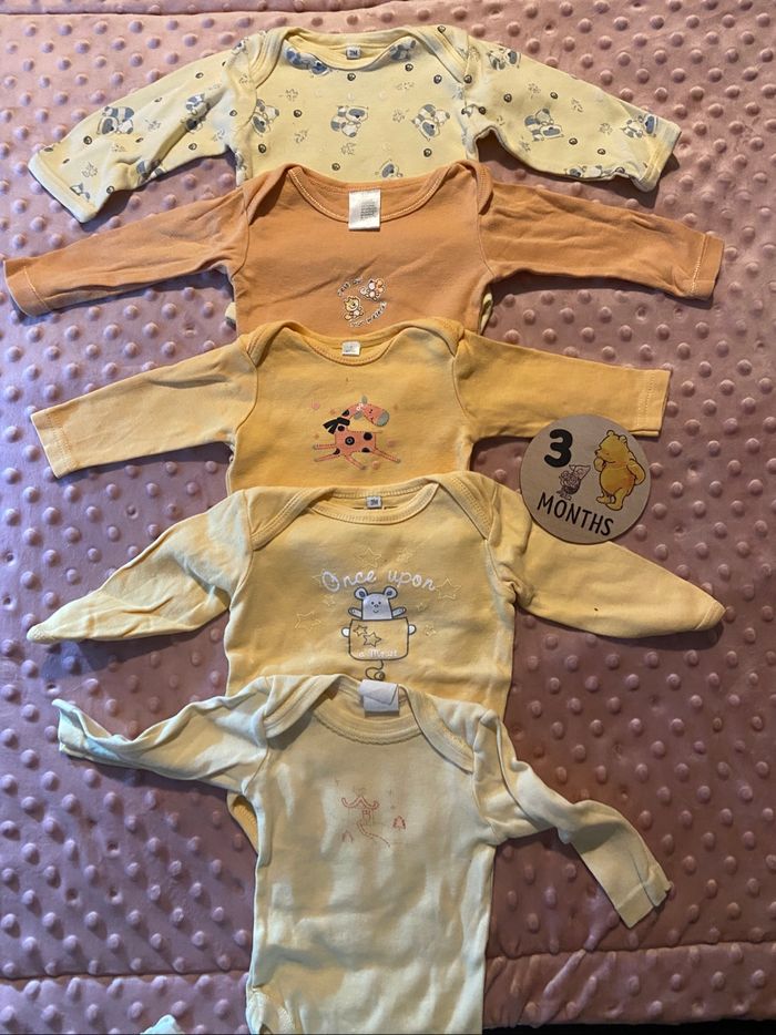 Lot de 5 bodies taille 3 mois