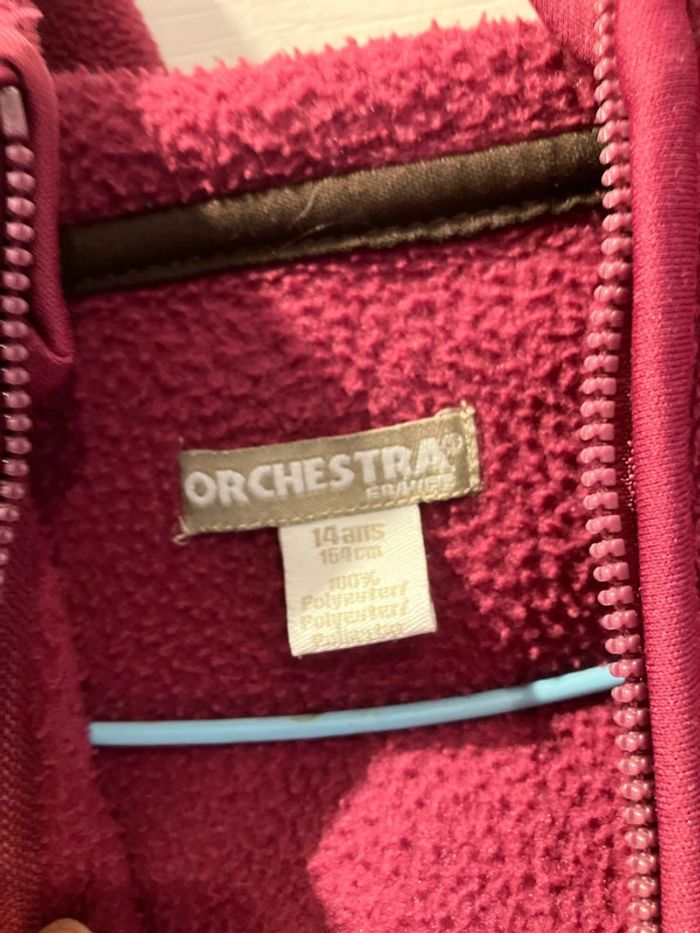 Polaire - photo numéro 6