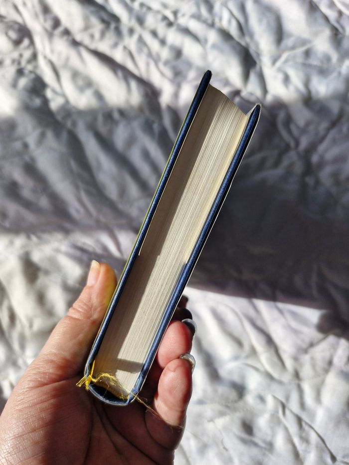 Le bourreau format relié - photo numéro 4