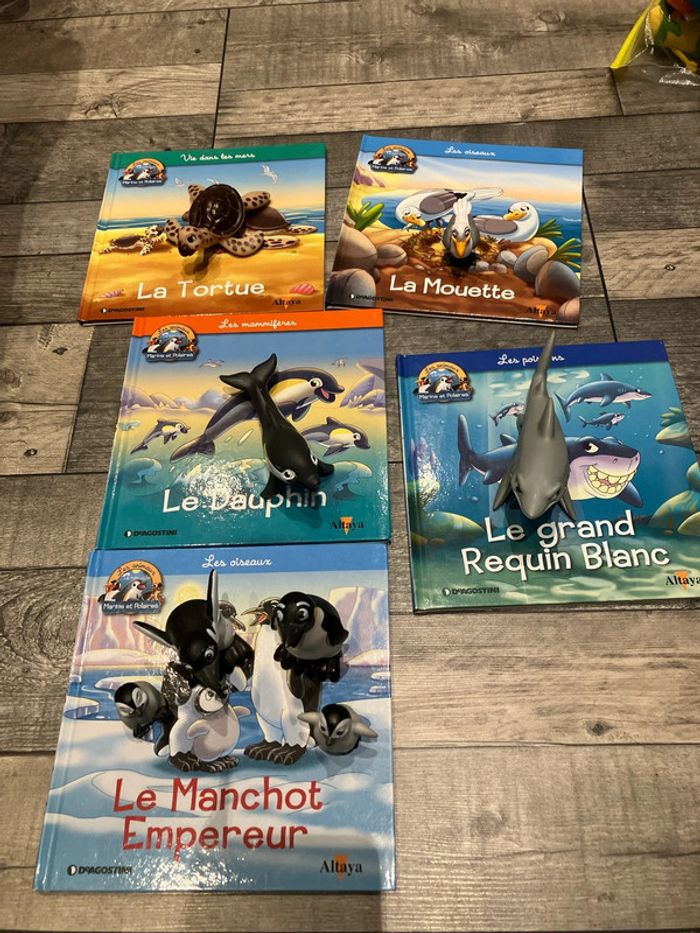 Lot livres + figurines