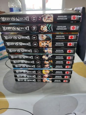 Demon slayer 1 à 11