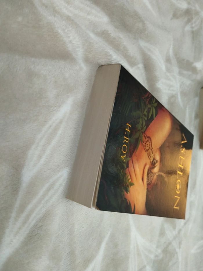 Ashlon - photo numéro 4