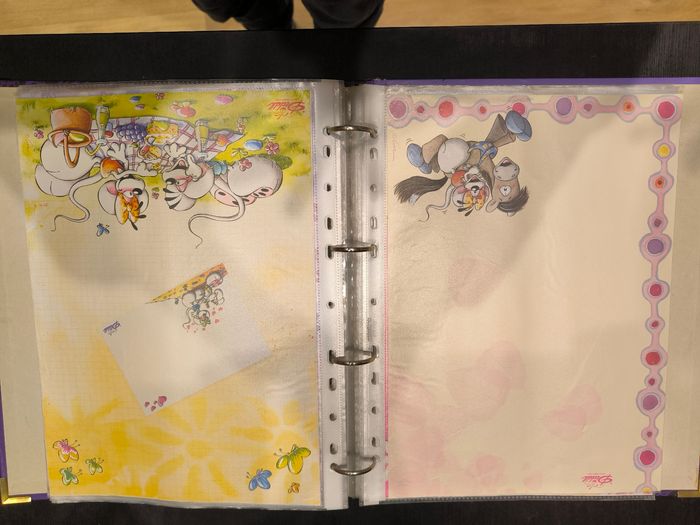 Classeur - Grande collection de fiches, enveloppes, pochettes, post-its, petites fiches, etc. Diddl - photo numéro 4