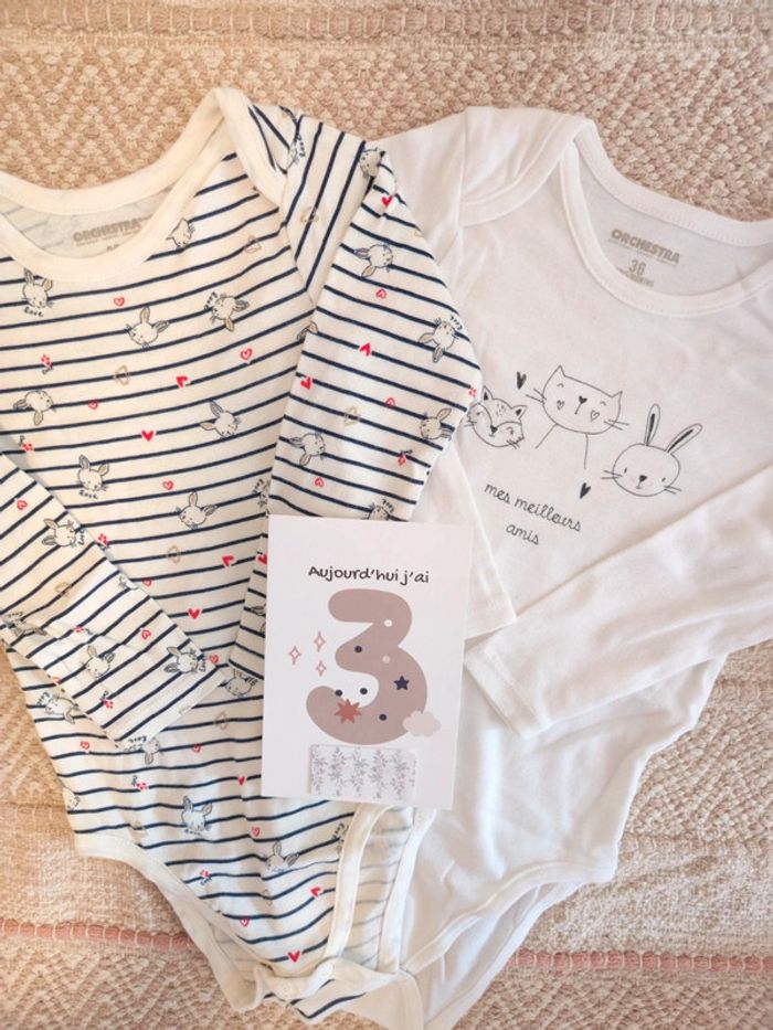Lot de 2 bodies 36 mois peu portés