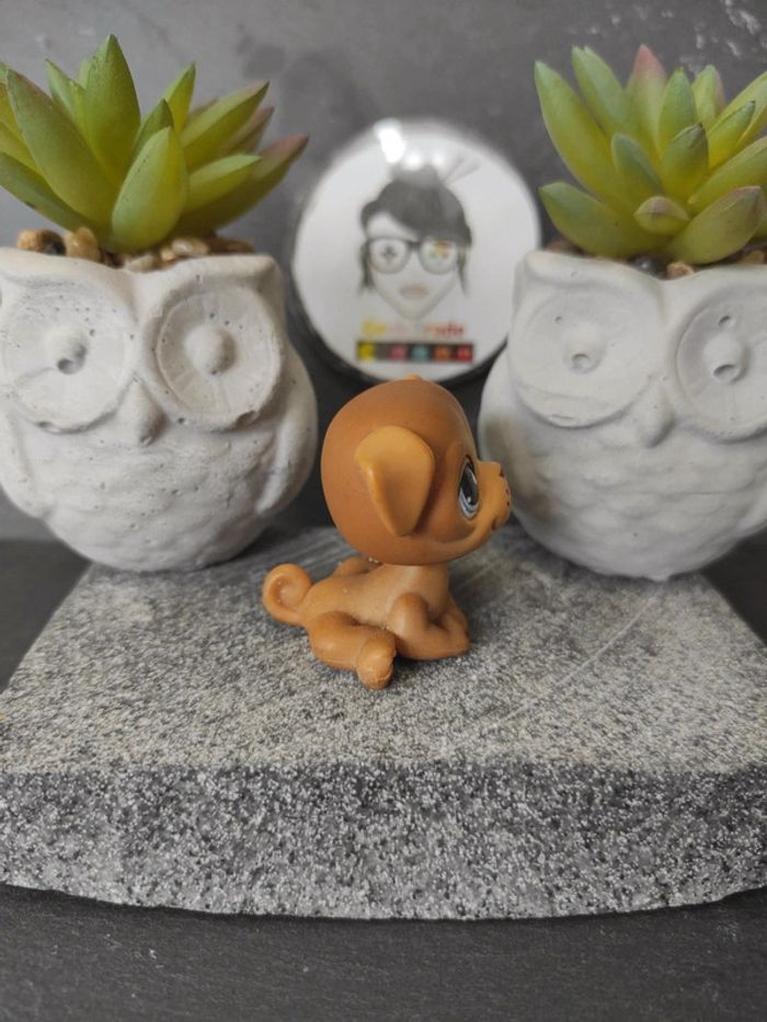 My Littlest Petshop  Pet Shop LPS dog chien carlin 786 / 901 #geektradelpschien - photo numéro 2