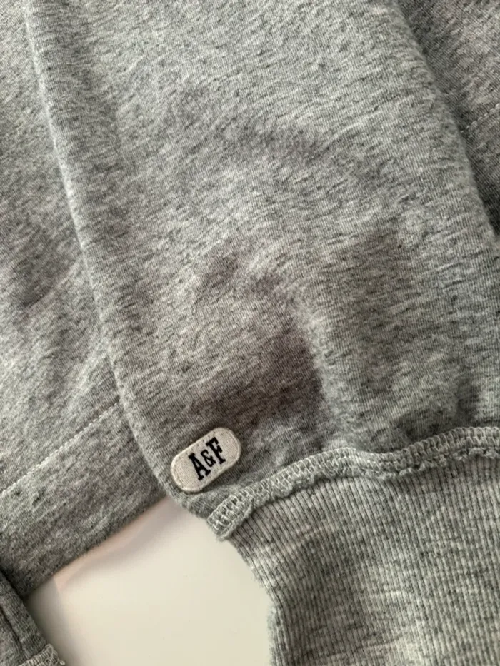 Sweat abercombie et fitch - photo numéro 3