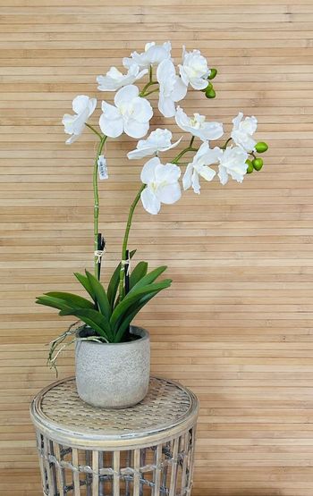 Orchidée artificielle de 60cm avec 2 branches