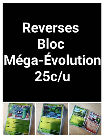 Reverses Bloc Méga-Évolution