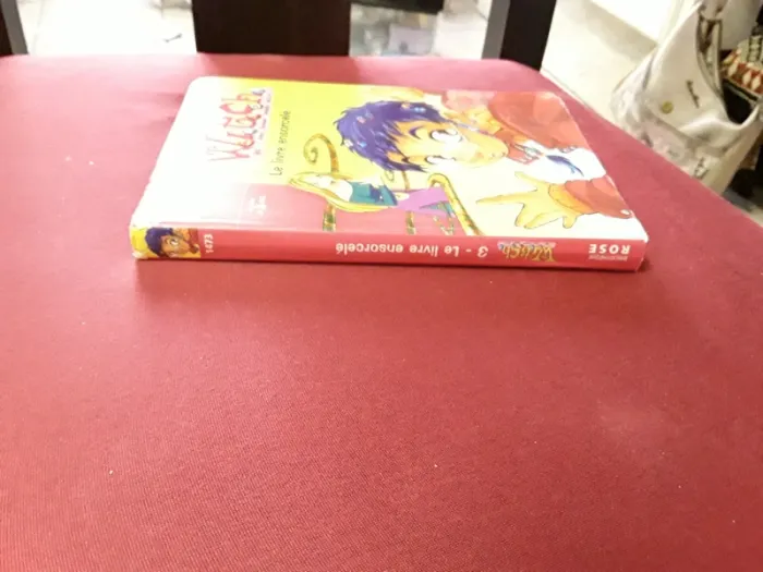 Witch Le livre ensorcelé 3 - photo numéro 2