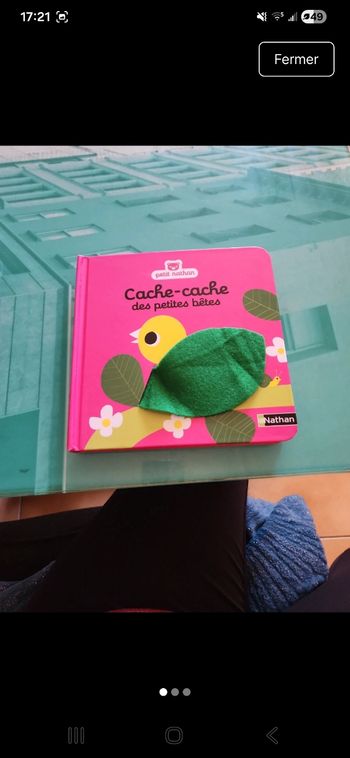 Livre cache cache des petites bêtes 