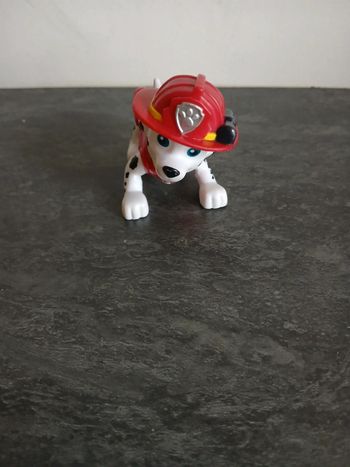 Marcus Pat Patrouille