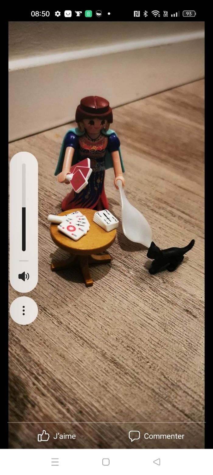 Voyante playmobil