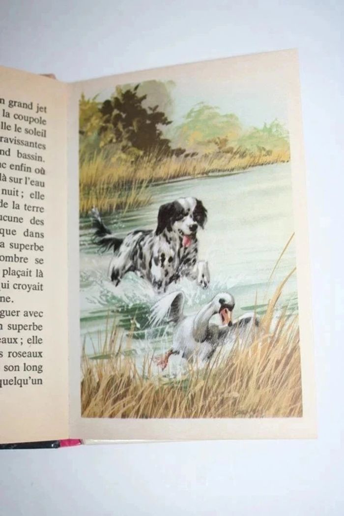 La Petite Sirène d'Andersen - photo numéro 5