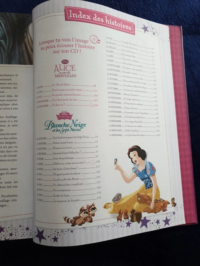 Livre 365 histoires pour le soir Princesses et fées - photo numéro 8