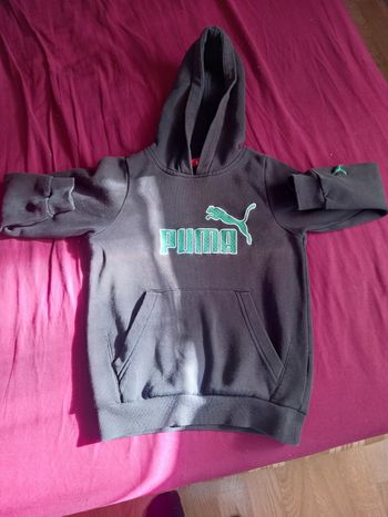 Sweat puma