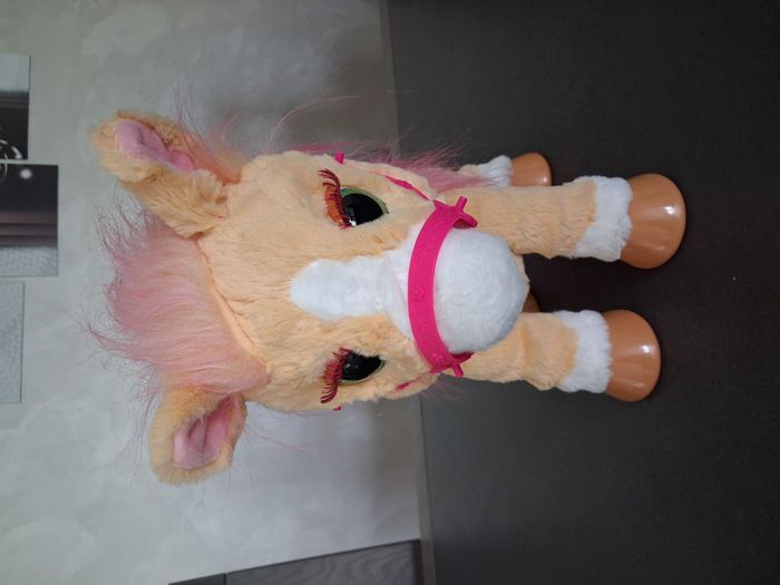 Cannelle mon poney coquet et ses accessoires - photo numéro 6