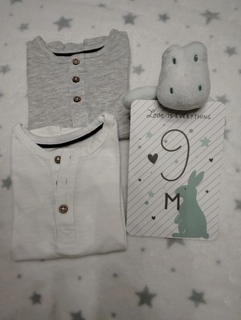 Lot de 2 sous pulls basique