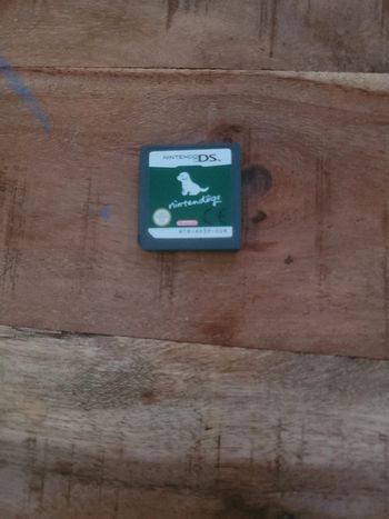 Jeu Nintendo ds nintendogs