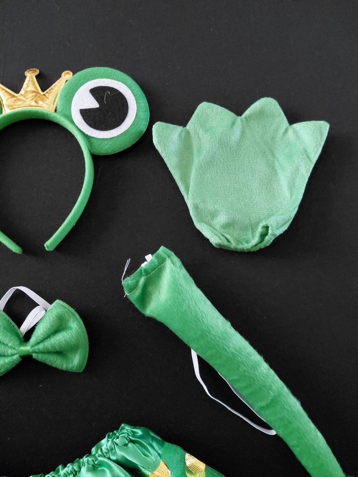 Déguisement grenouille et ces accessoires 3-6ans - photo numéro 2