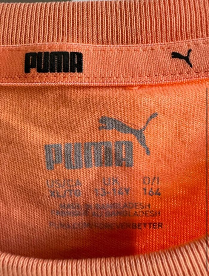 Haut puma - photo numéro 2