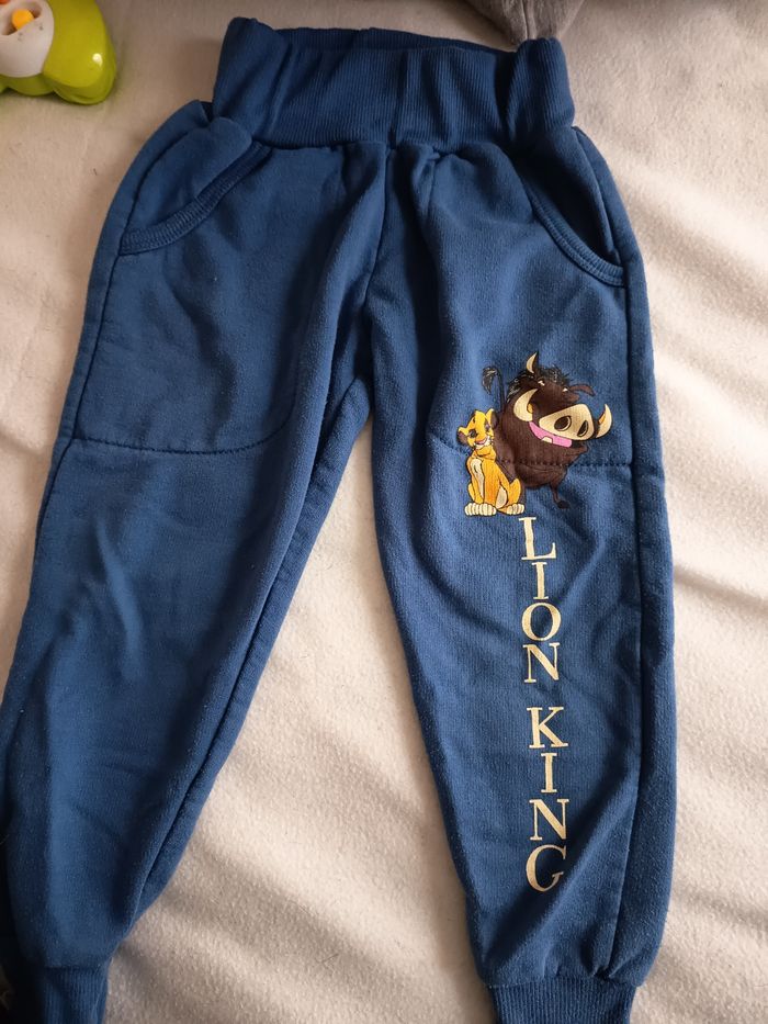 Ensemble roi lion - photo numéro 4