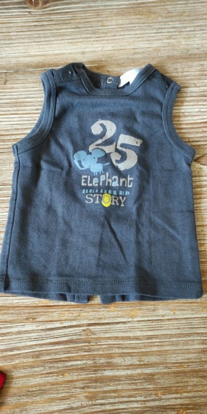 Lot 2 tee-shirts - photo numéro 3