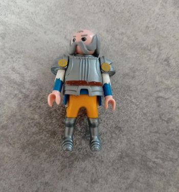 Playmobil garde royal