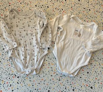 Bodies sergent major