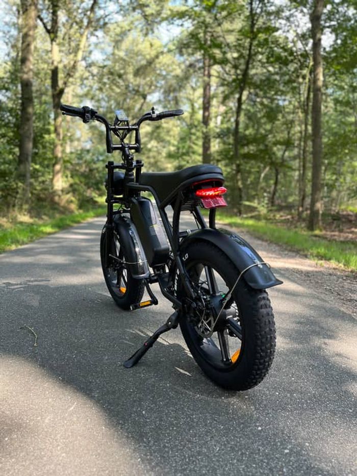 Vélo Fatbike v20 électrique - photo numéro 3