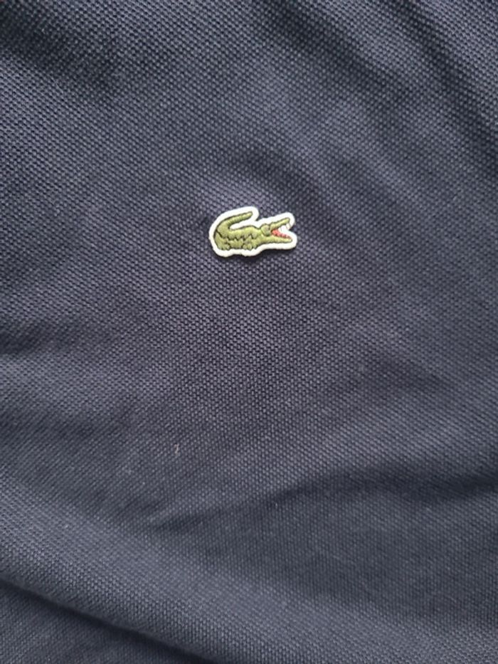 Polo lacoste - photo numéro 2