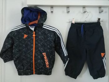 Jogging predator Adidas 6/9m quasi neuf