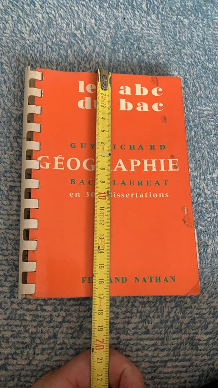 Les abc du bac Géographie en 300 dissertations - photo numéro 7