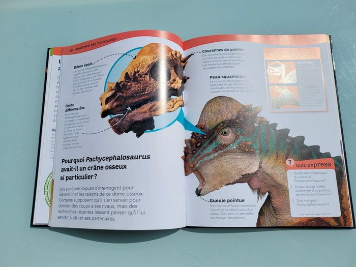 Questions ? Reponses! L'encyclopédie des dinosaures - photo numéro 7