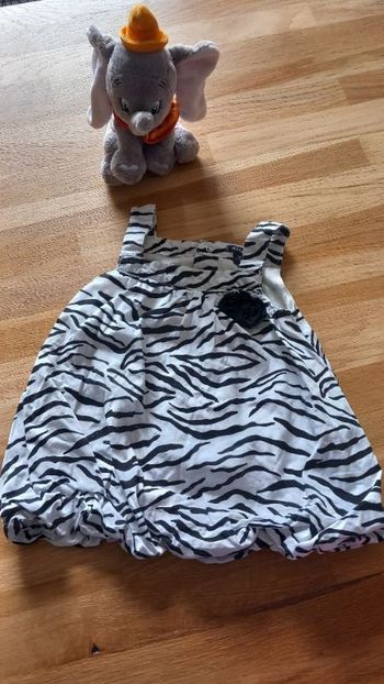Robe zèbre